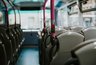 Миниатюра новости: Воронеж получит 330 новых автобусов к концу 2025 года