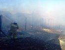 В селе Елань-Колено Новохоперского района пожар уничтожил хозпостройку