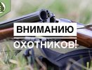 В регионе стартует приём заявок на разрешение для охоты на пушных животных