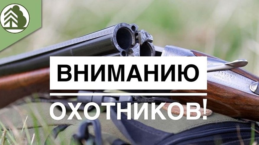 Главная картинка новости: В регионе стартует приём заявок на разрешение для охоты на пушных животных