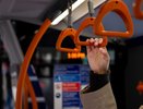 В Воронеже готовят проект метробуса с движением по центральным полосам
