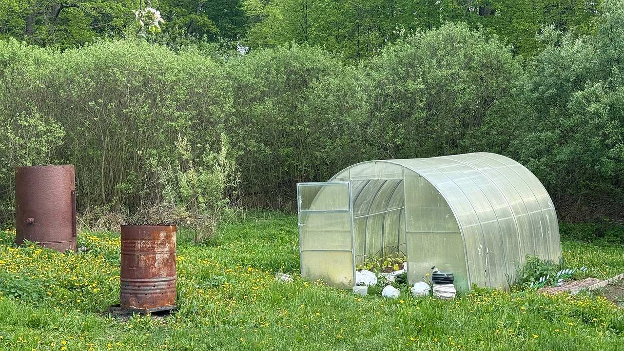 Главная картинка новости: Готовлю грядки к новому сезону — засыпаю участок «биотопливом»: как превратить даже глину в плодородный чернозем