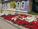 Как создать роскошную клумбу почти бесплатно: 7 хитростей дачников, которые превратят клумбу в шедевр