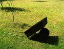 Беру 1 продукт с кухни — слизни в полном составе уползают с огорода: урожай спасен без химии