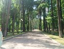 Замужем и несчастна: даже самые красивые женщины угасают в браке из-за этих 3 вещей