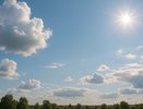 Солнечный день без осадков ожидается в Воронеже 20 августа