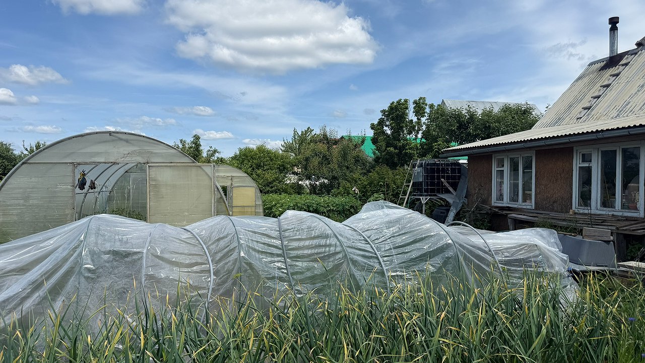 Главная картинка новости: Забудьте о зиме: ваша теплица может кормить вас круглый год — неожиданные решения для вашего огорода
