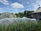 Забудьте о зиме: ваша теплица может кормить вас круглый год — неожиданные решения для вашего огорода