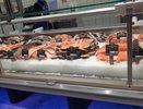 Взял скумбрию «Дикое море» в «Чижике» — пожалел об одном: советую не повторять мою ошибку