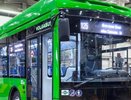На маршруты Воронежа выйдут 45 новых автобусов с системой помощи слабовидящим