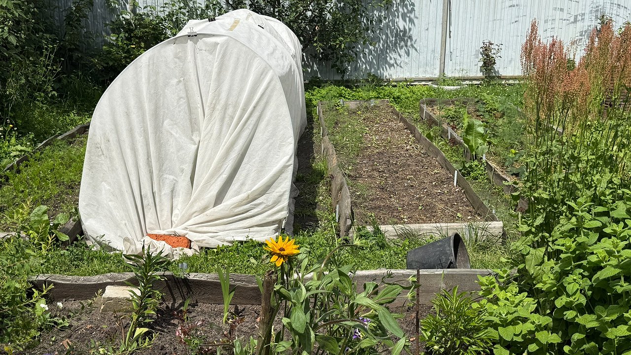 Главная картинка новости: Теплицы нового поколения – поликарбонат уже прошлый век: придумали более долговечную замену без трещин, пыли и потёков грязи