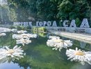 Воронеж готовится к фестивалю "Город-сад"