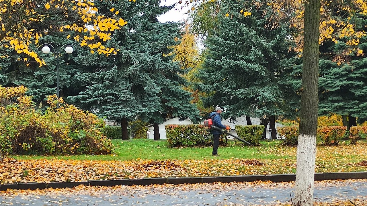 Главная картинка новости: Вильфанд: бархатного сезона в Центральной России точно не дождётесь