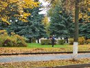 Вильфанд: бархатного сезона в Центральной России точно не дождётесь