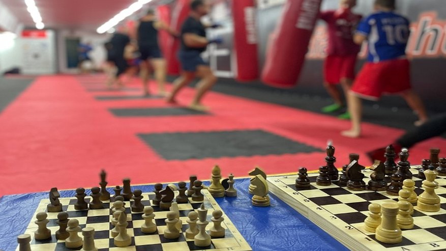 Главная картинка новости: Воронежские спортсмены взяли медали Кубка России по шахбоксу в Санкт-Петербурге