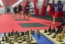 Миниатюра новости: Воронежские спортсмены взяли медали Кубка России по шахбоксу в Санкт-Петербурге