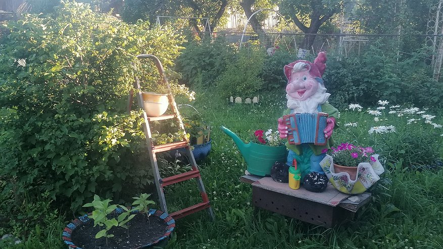 Главная картинка новости: Газонокосилка или триммер: почему я кошу в два раза чаще и совсем не жалею