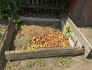 3 ложки на кучу — перегниют даже толстые ветки: как приготовить компост за один сезон — рецепт от агронома