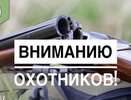 В Воронежской области завершили приём заявлений на добычу пушных животных