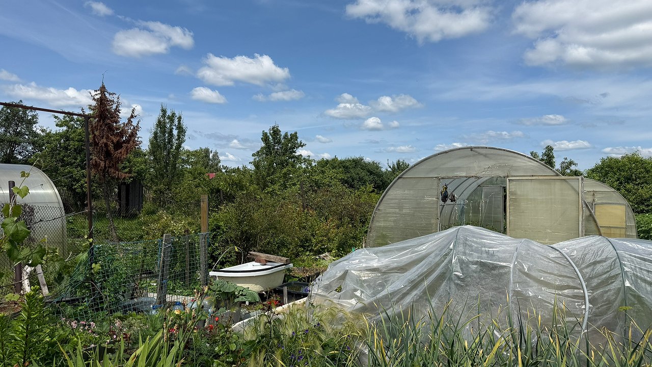 Главная картинка новости: Чем обработать теплицу осенью от болезней и вредителей