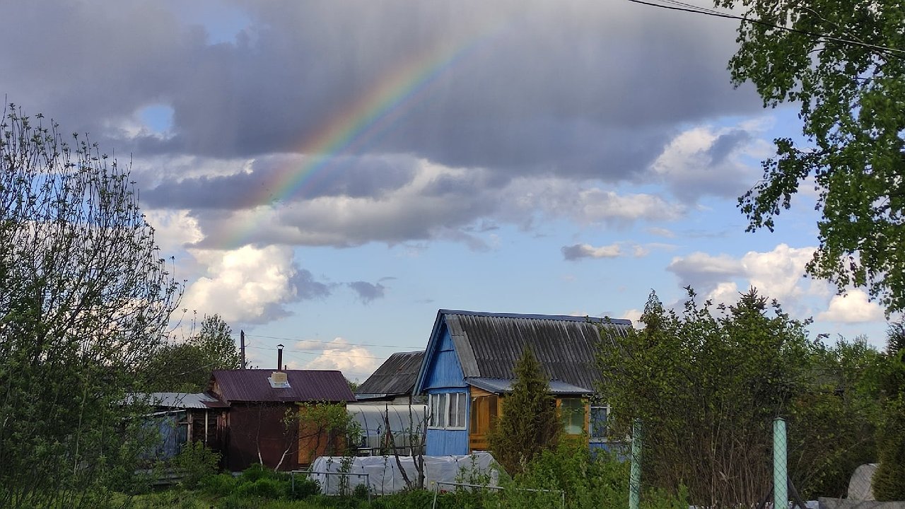 Главная картинка новости: Больше вам не пригодятся рабица и поликарбонат: этот забор выйдет в 10 раза дешевле и прослужит долго