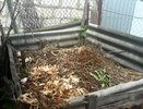 Принципы качественного компоста: всего 4 ингредиента заставят кучу «дышать» — алгоритм действий