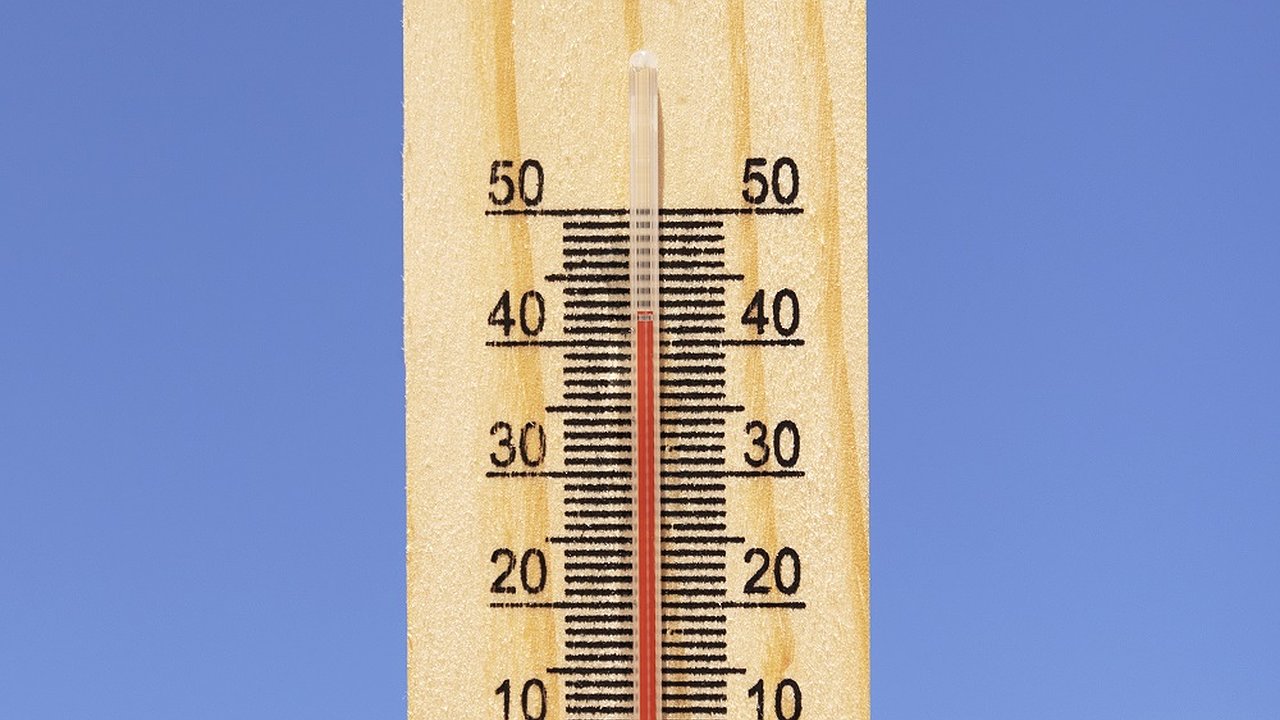 Главная картинка новости: В Воронежской области объявлено предупреждение из-за аномальной жары