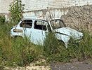Как убрать «рыжики» на кузове: автомаляр перечислил 3 лучших способа — без поездки в сервис