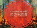 Ограничение на пребывание в лесах Воронежской области продлено до конца сентября
