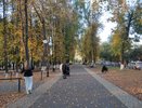 Две недели солнечных дней без дождей: метеорологи обещают затяжное бабье лето в сентябре