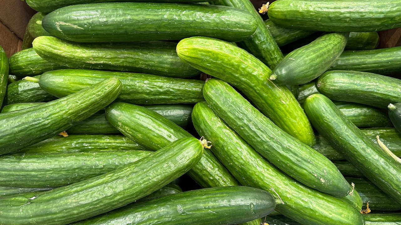Главная картинка новости: Как сохранить огурцы хрустящими 3 недели: простые способы без заморозки и закруток