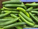 Как сохранить огурцы хрустящими 3 недели: простые способы без заморозки и закруток