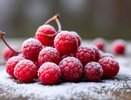 Правильная заморозка ягод на зиму, которая займёт минимум места: подойдет для любых плодов