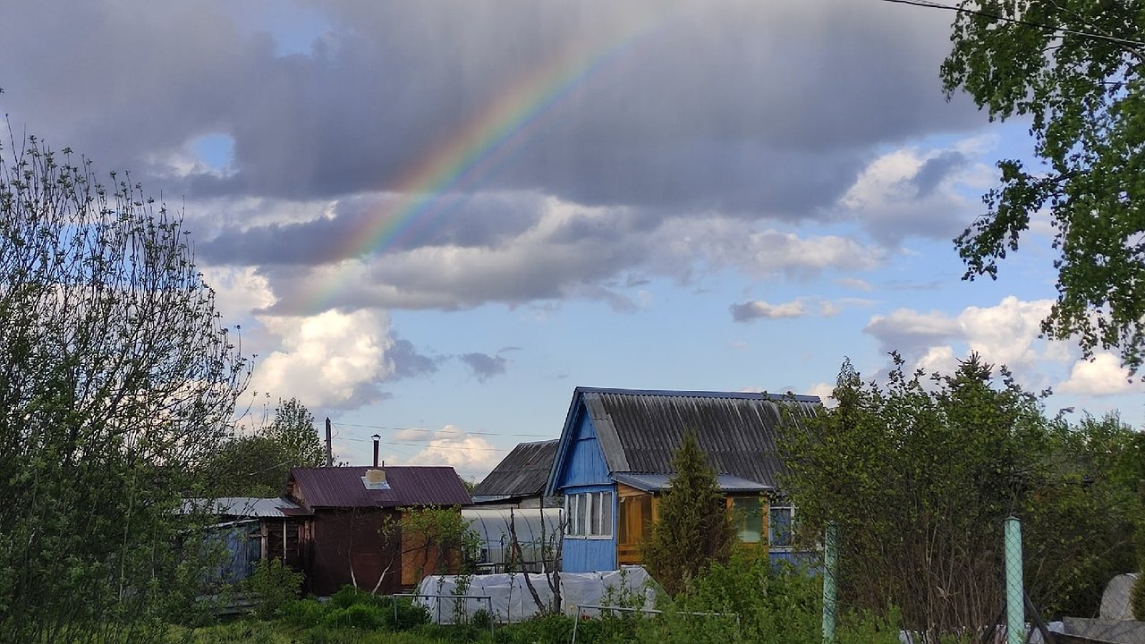 Главная картинка новости: Идеальное ограждение для вашего участка: профлист не понадобится