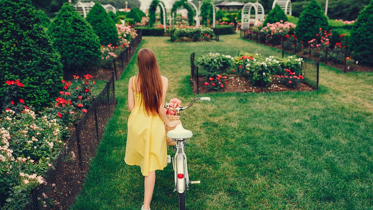 Главная картинка новости: В Воронеже начался юбилейный фестиваль Город-сад 2025