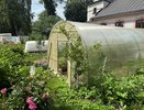 Земля в теплице станет плодородной и мягкой: как помочь почве в сентябре после сбора урожая