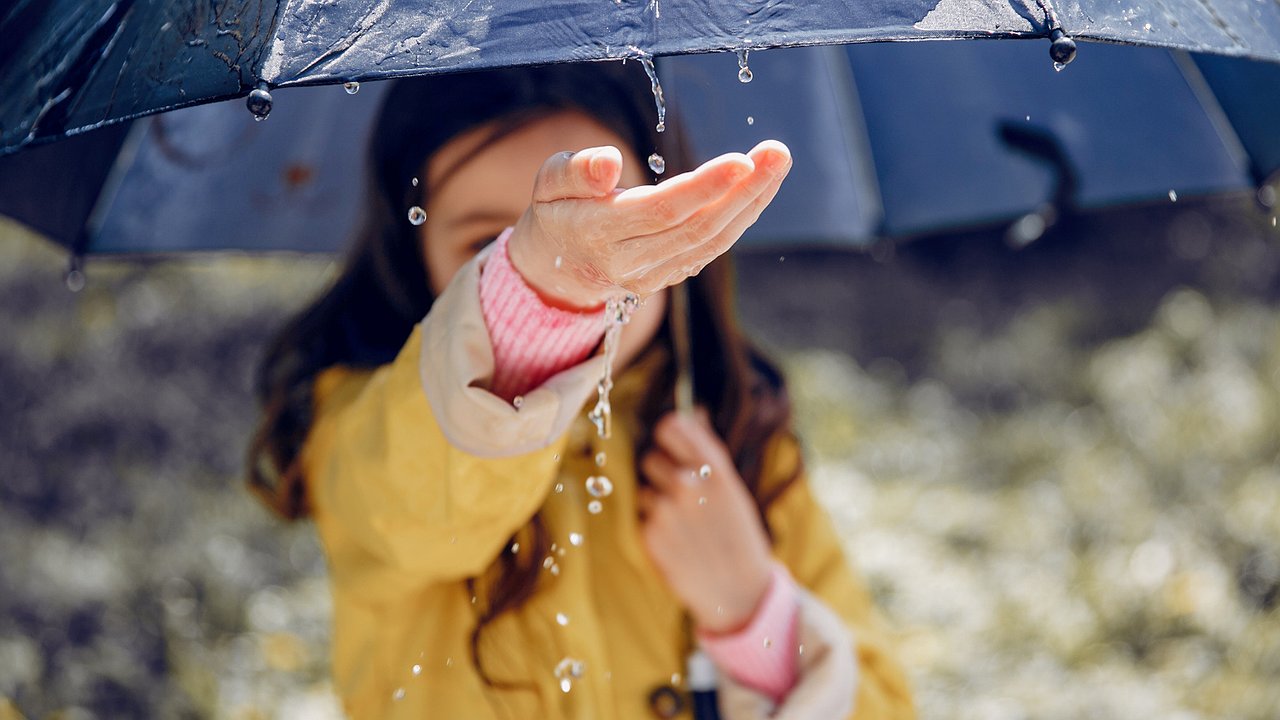 Главная картинка новости: Дождливый вторник сменится солнечной средой в Воронеже