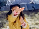 Дождливый вторник сменится солнечной средой в Воронеже