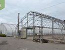 В Воронежском лесопожарном центре ремонтируют две теплицы для выращивания сосны