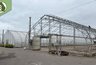 Миниатюра новости: В Воронежском лесопожарном центре ремонтируют две теплицы для выращивания сосны
