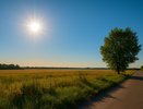 Воронеж встретит 9 сентября тёплой и солнечной погодой без дождей