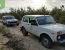 Более 8,5 тысячи рейдов совершили лесные инспекторы с начала года в Воронежской области