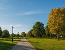 В Воронеже 13 сентября прогнозируется ясный день и прохладную ночь