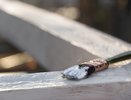 В Воронеже инвестор купил дом Вагнера за рубль и не отреставрировал