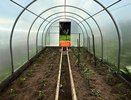 Сделайте землю в теплице плодородной и мягкой: как помочь почве в сентябре после сбора урожая
