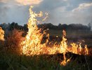 Оранжевый уровень пожарной опасности продлили в Воронежской области