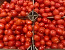 Золотые томаты: старинные методы сохранения летнего урожая до января – холодильник и обработка не нужны