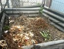 Компост будет преть даже зимой, если знать, что пролить сейчас кучу. Мощный «сжигатель» для активации компоста