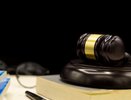 Житель Воронежа пойдет под суд за нападение на полицейского во время проверки лодки