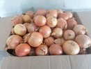Как сохранить лук до весны: советы, которые подойдут любой хозяйке